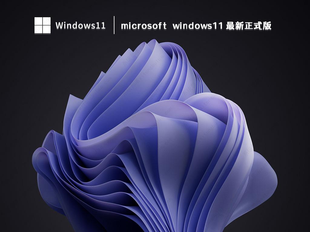microsoft windows11正式版下载简体中文版_microsoft windows11正式版专业版最新版