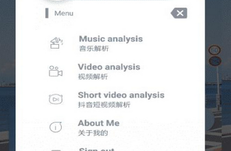 布灵解析去水印软件