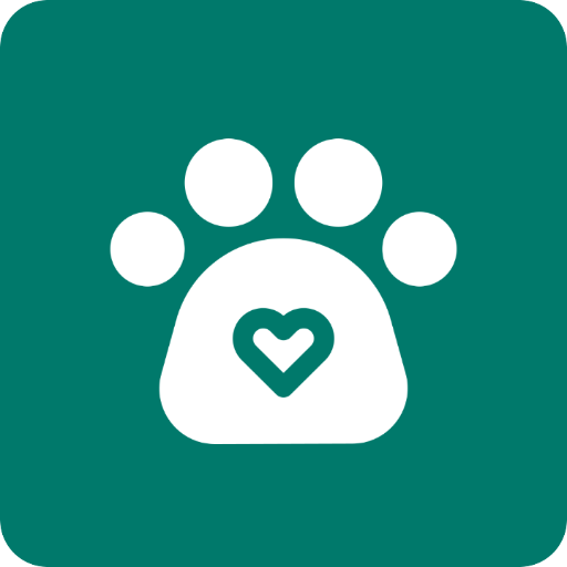 纸人运动宝手机版免费版