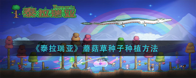 泰拉瑞亚蘑菇草种子种植方法