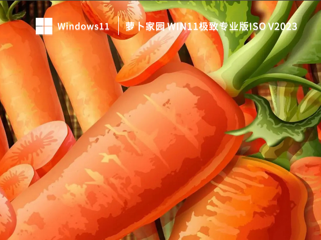 萝卜家园 Win11极致专业版ISO下载简体版_萝卜家园 Win11极致专业版ISO下载家庭版