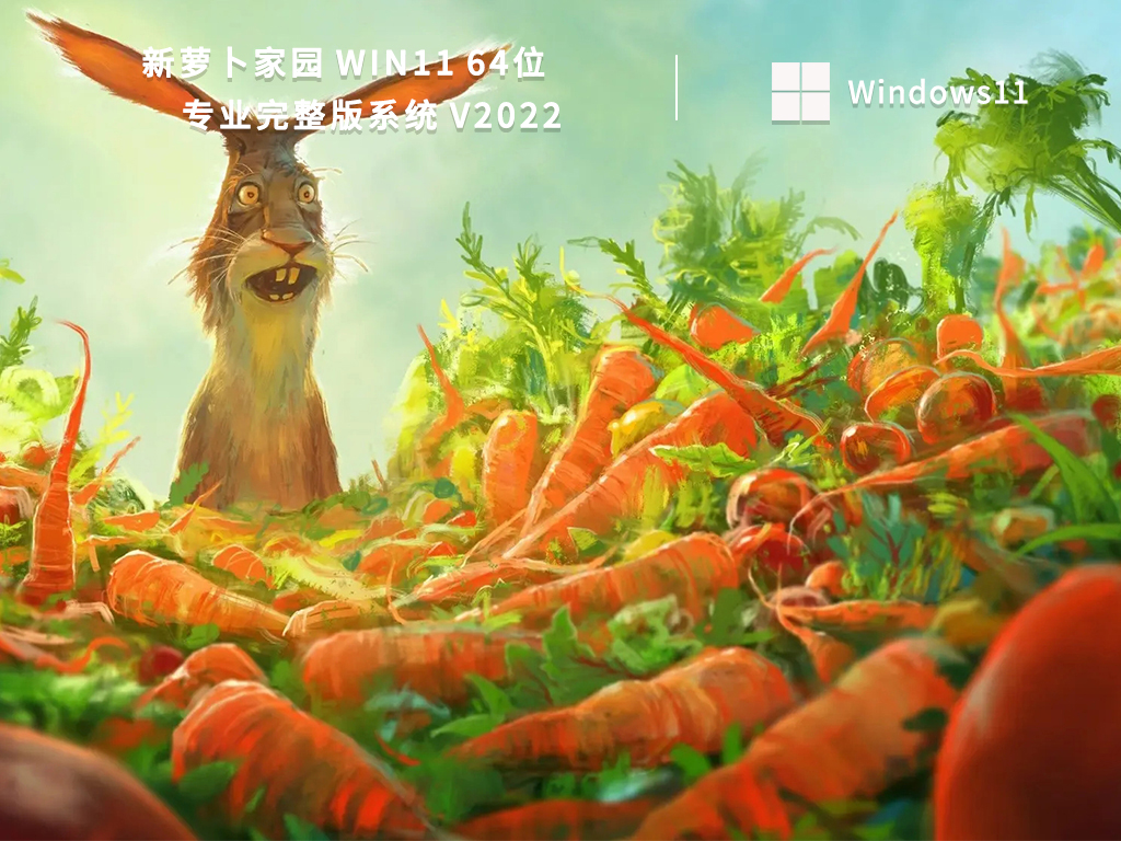 Win11 64位专业完整版系统下载中文正式版_Win11 64位专业完整版系统家庭版下载