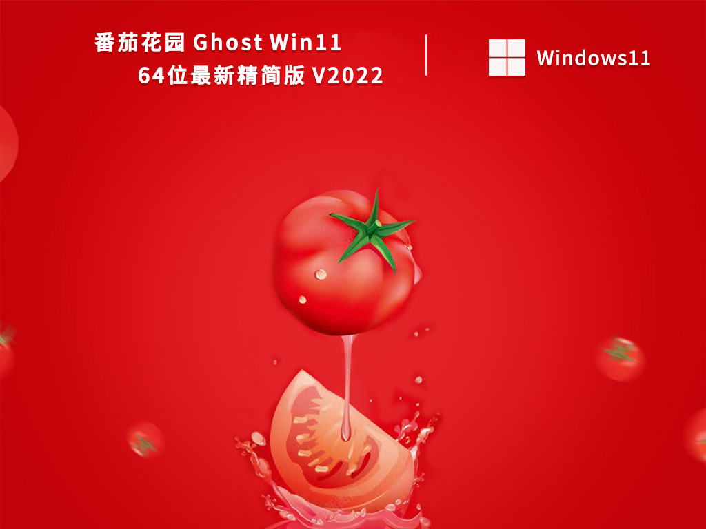 Ghost Win11 64位最新精简版中文版正式版_Ghost Win11 64位最新精简版专业版下载