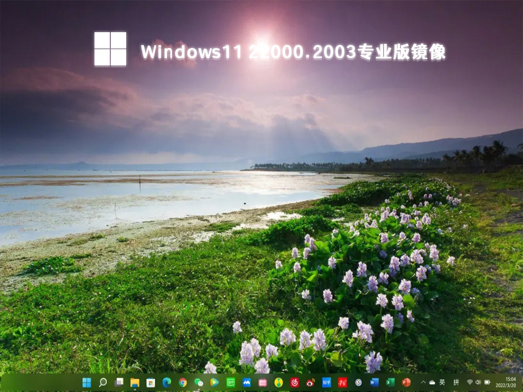 Windows11 22000.2003专业版镜像 5月更新简体版_Windows11 22000.2003专业版镜像 5月更新最新版专业版