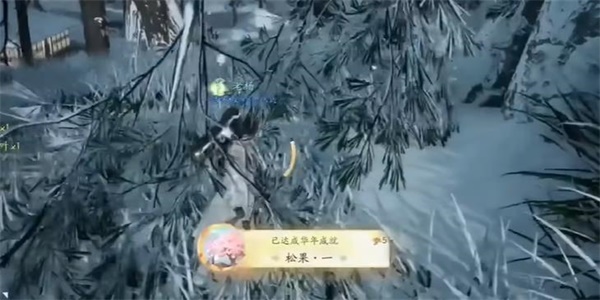 射雕手游松果一成就怎么获得