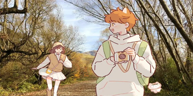 遇见你的猫菜谱大全2024最新