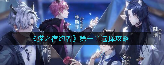 猫之宿约者第一章选择攻略
