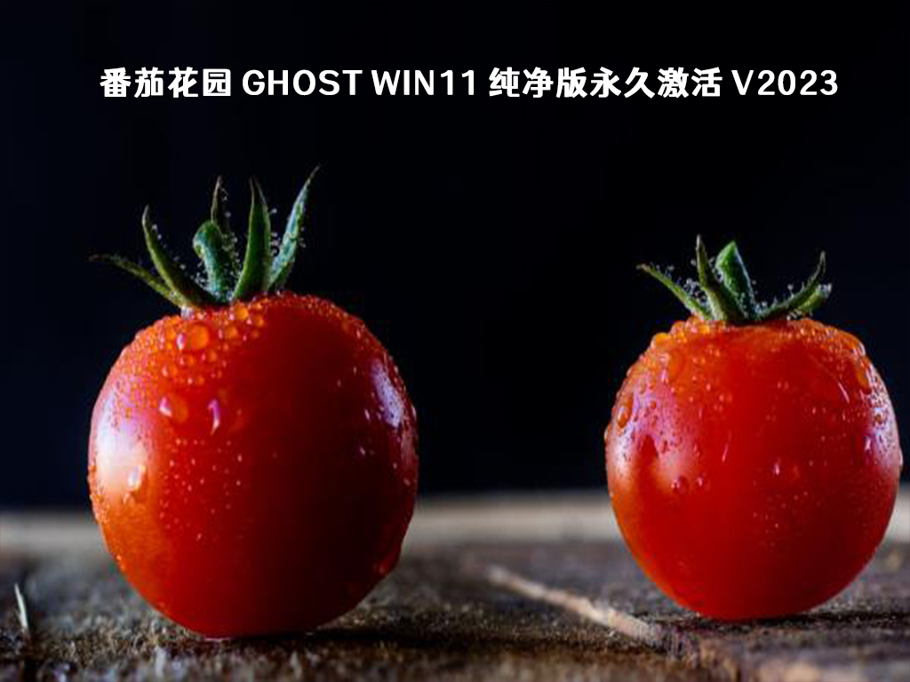 番茄花园 Ghost Win11 纯净版永久激活中文版下载_番茄花园 Ghost Win11 纯净版永久激活下载最新版