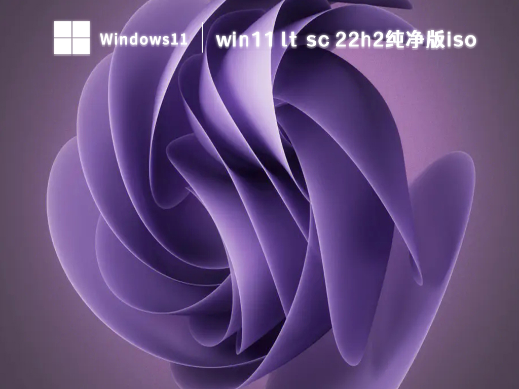 win11 ltsc 22h2纯净版iso中文版完整版下载_win11 ltsc 22h2纯净版iso家庭版下载