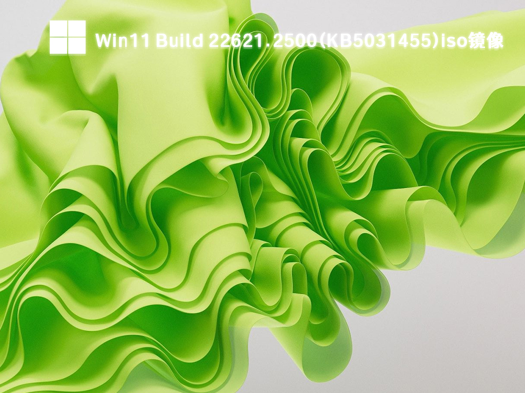 Win11 Build 22621.2500(KB5031455)iso镜像正式版_Win11 Build 22621.2500(KB5031455)iso镜像下载专业版