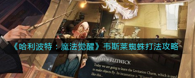 哈利波特魔法觉醒韦斯莱蜘蛛打法攻略