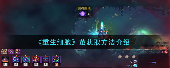 重生细胞茧获取方法介绍