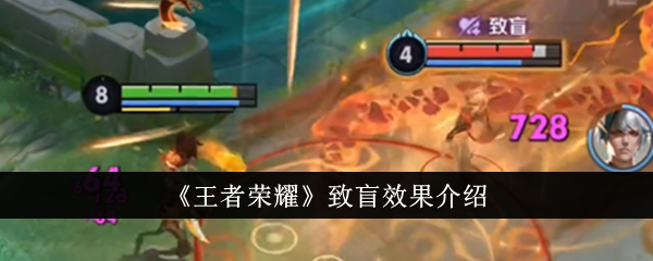 王者荣耀致盲效果分享