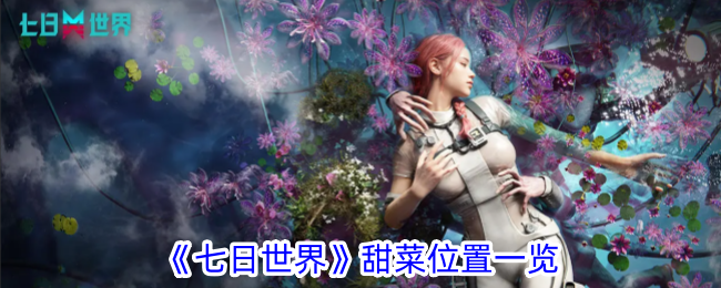 七日世界甜菜位置分享