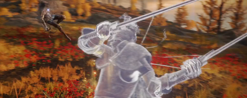 艾尔登法环亚坛高原黑刀刺客BOSS介绍