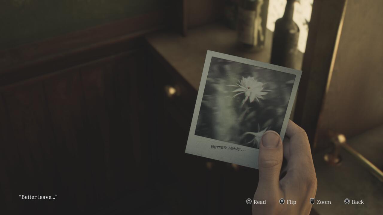 寂静岭2重制版奇怪照片全收集