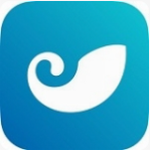 BCH交易所下载安装手机版