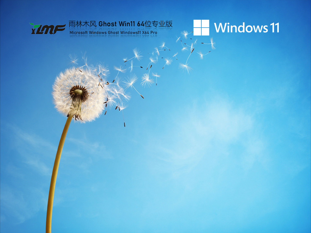 雨林木风Ghost Win11 专业版简体中文版_雨林木风Ghost Win11 专业版专业版