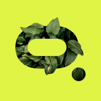 MOSS币是正规还是仿品