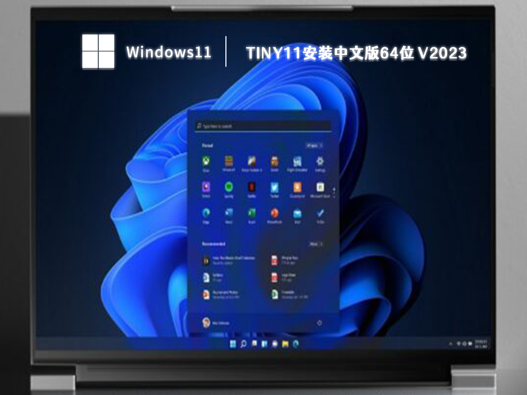 Tiny11安装中文版64位 V2023正式版_Tiny11安装中文版64位专业版