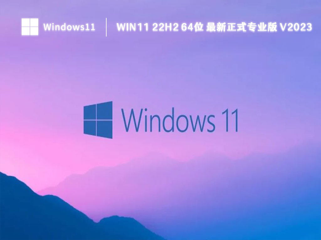 Win11 22H2 64位 最新正式专业版中文版_Win11 22H2 64位 最新正式专业版专业版