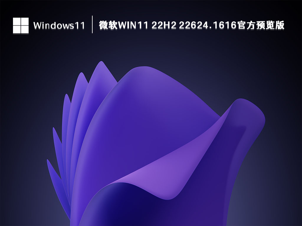 微软Win11 22H2 22624.1616官方预览版4月中文版_Win11 22H2 22624.1616官方预览版4月专业版