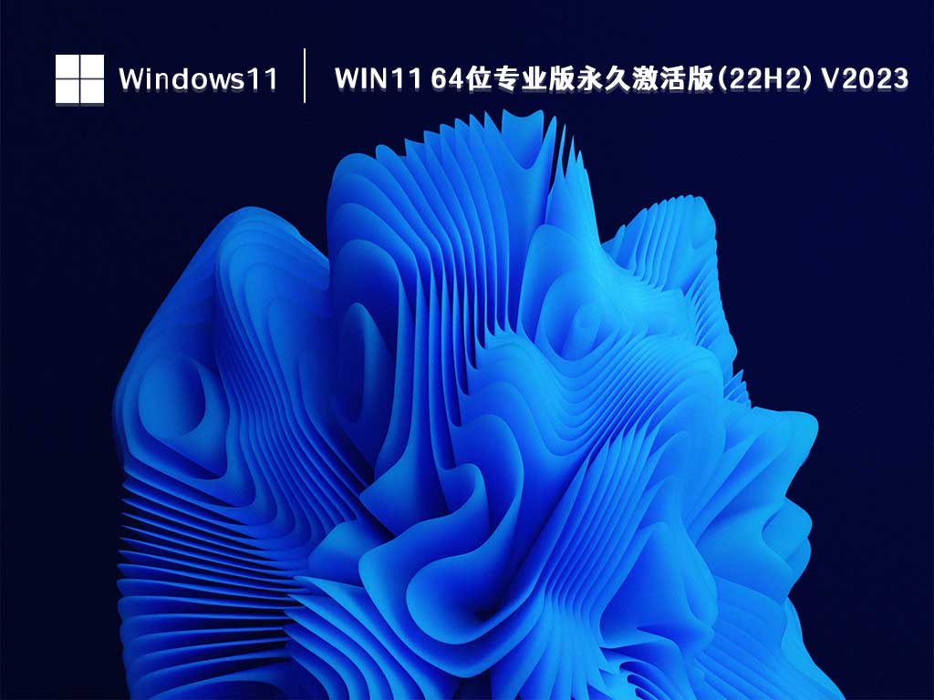 Win11 64位专业版永久激活版(22H2) 中文正式版_Win11 64位专业版永久激活版(22H2) 专业版
