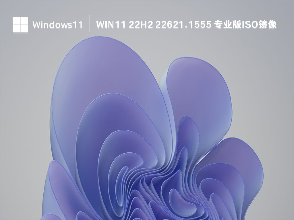 Win11 22H2 22621.1555 专业版ISO镜像简体中文版_Win11 22H2 22621.1555 专业版ISO镜像家庭版