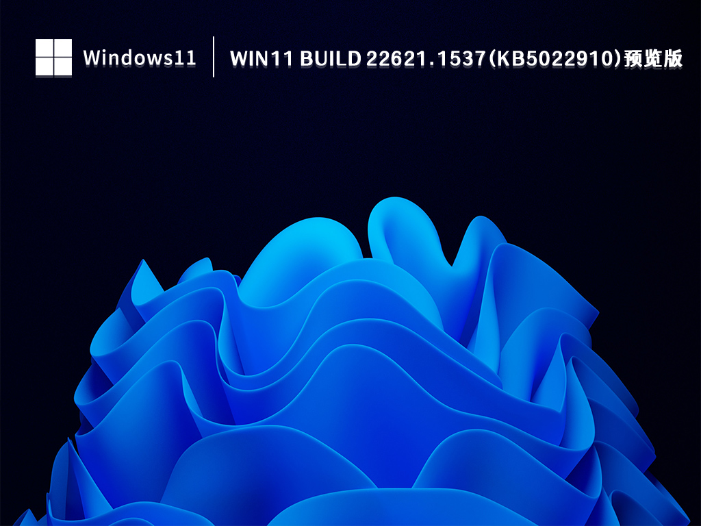 Win11 Build 22621.1537(KB5022910)预览版镜像简体版_Win11 Build 22621.1537(KB5022910)预览版镜像专业版