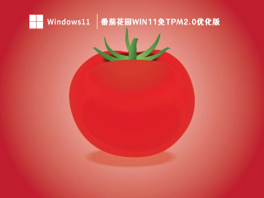 番茄花园Win11免tpm2.0优化版简体版_番茄花园Win11免tpm2.0优化版专业版