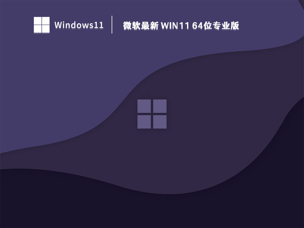微软最新 Win11 64位专业版中文正式版_微软最新 Win11 64位专业版家庭版