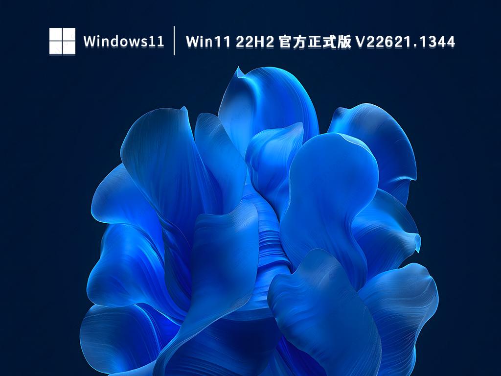 Win11 22H2 官方正式版 V22621.1344简体中文版_Win11 22H2 官方正式版 V22621.1344专业版