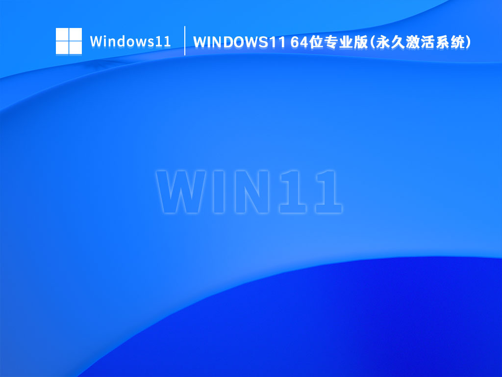 Windows11 64位专业版(永久激活系统)中文正式版_Windows11 64位专业版(永久激活系统)家庭版下载