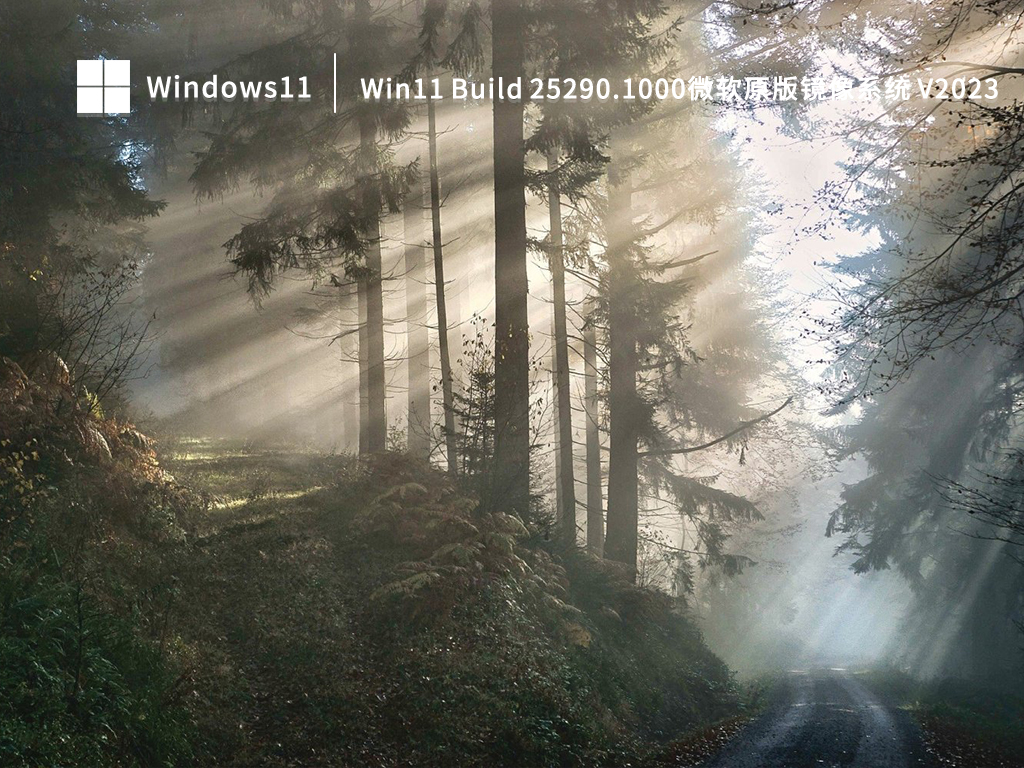 Win11 Build 25290.1000微软原版镜像系统中文版_Win11 Build 25290.1000微软原版镜像系统最新版专业版