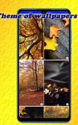 甜美壁纸和背景-插图2