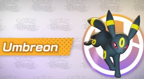 宝可梦大集结国服与国际服区别一览_国服与国际服有哪些区别