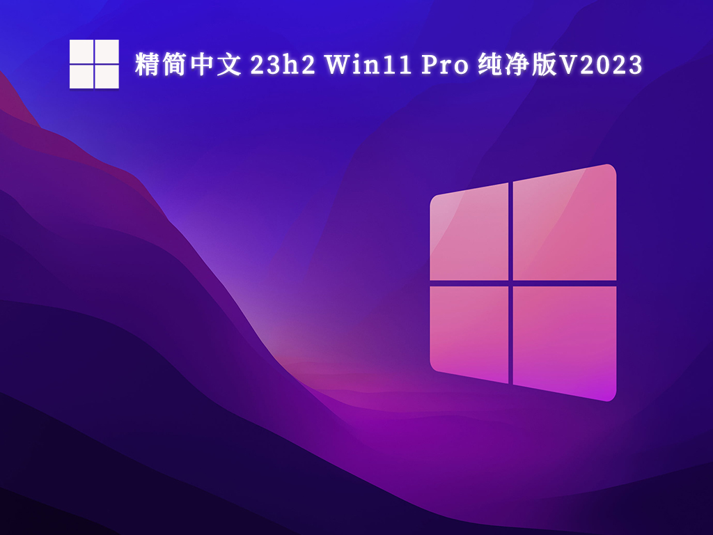 精简中文 23h2 Win11 Pro 纯净版中文版_精简中文 23h2 Win11 Pro 纯净版最新版