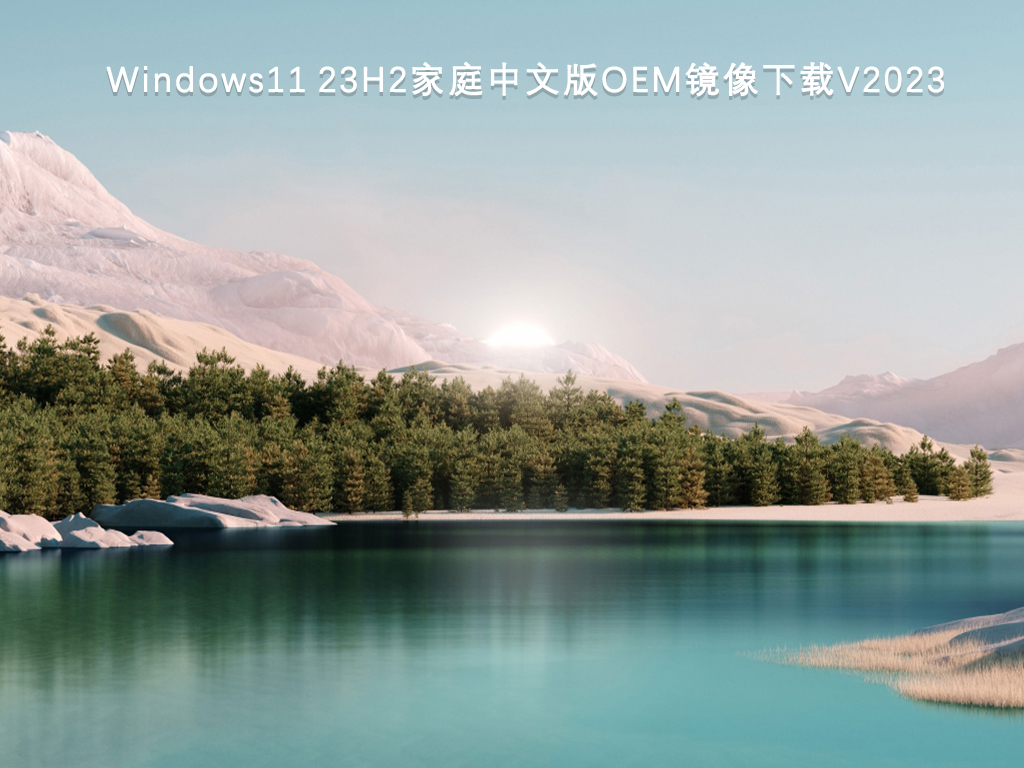 Windows11 23H2家庭中文版OEM镜像简体中文版_Windows11 23H2家庭中文版OEM镜像专业版