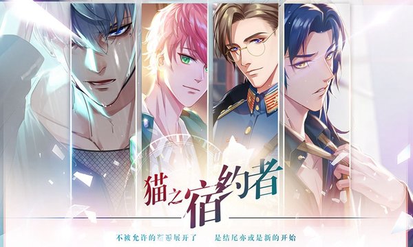 猫之宿约者测试服