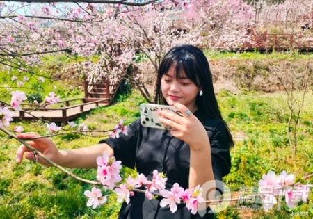 康养水城app安卓版， 康养水城app安卓版