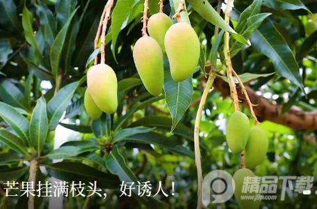 右江融媒体中心， 右江融媒体中心