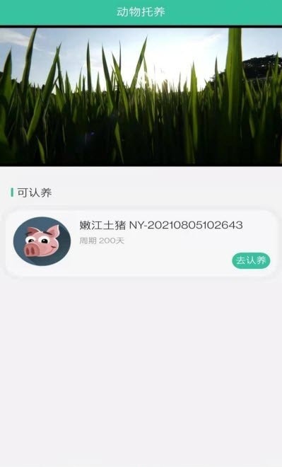 禾元农场-插图1