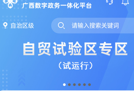 广西政务数字一体化平台