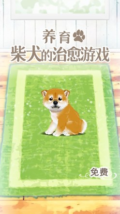 养育柴犬的治愈游戏官方版