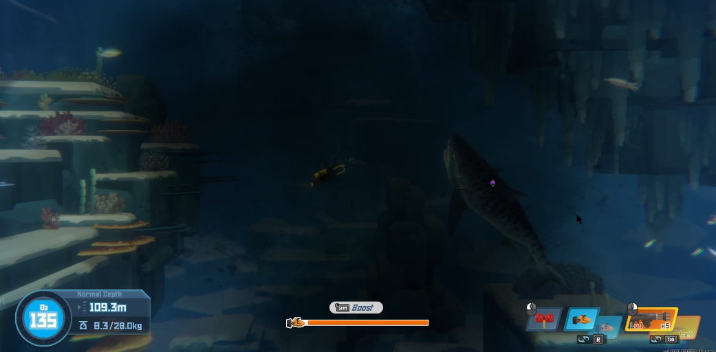 潜水员戴夫虎鲨怎么打