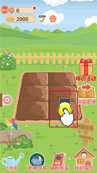 奇妙猫之家游戏玩法图片4