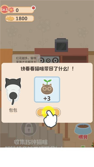 奇妙猫之家游戏玩法图片6