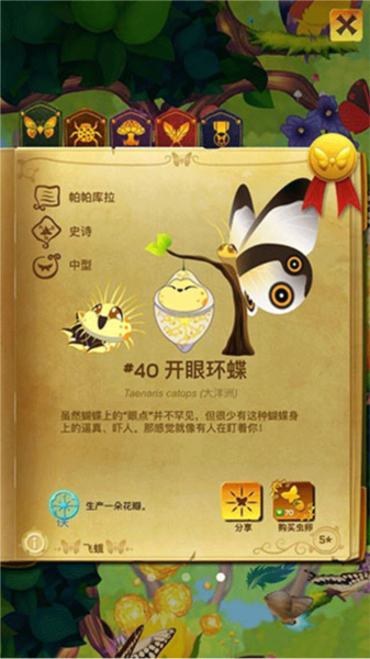 彩翼蝴蝶保护区蝴蝶种类介绍1