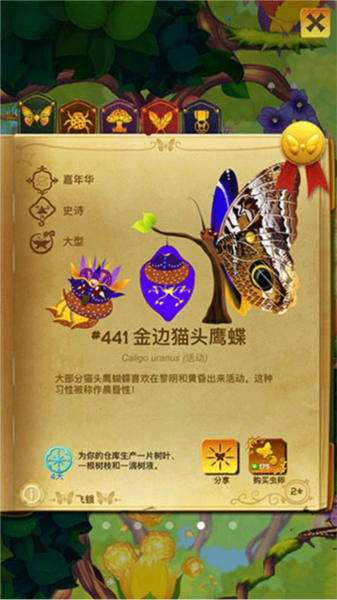 彩翼蝴蝶保护区蝴蝶种类介绍5