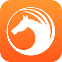 天马浏览器lite版安卓下载